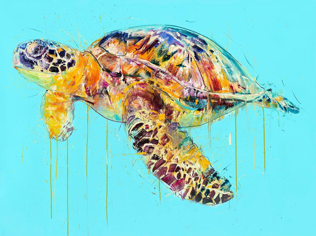 Sea Turtle