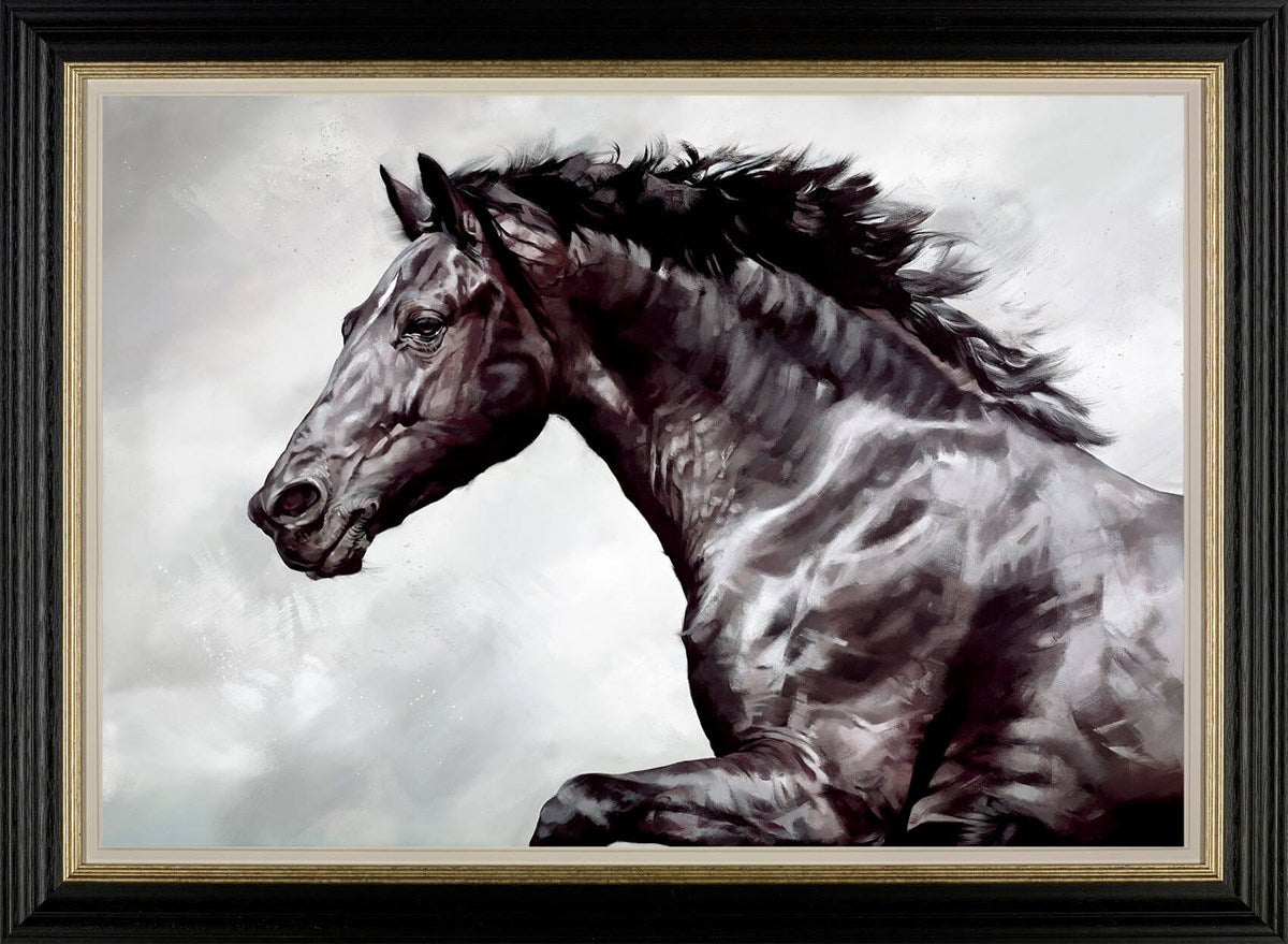 The Conqueror