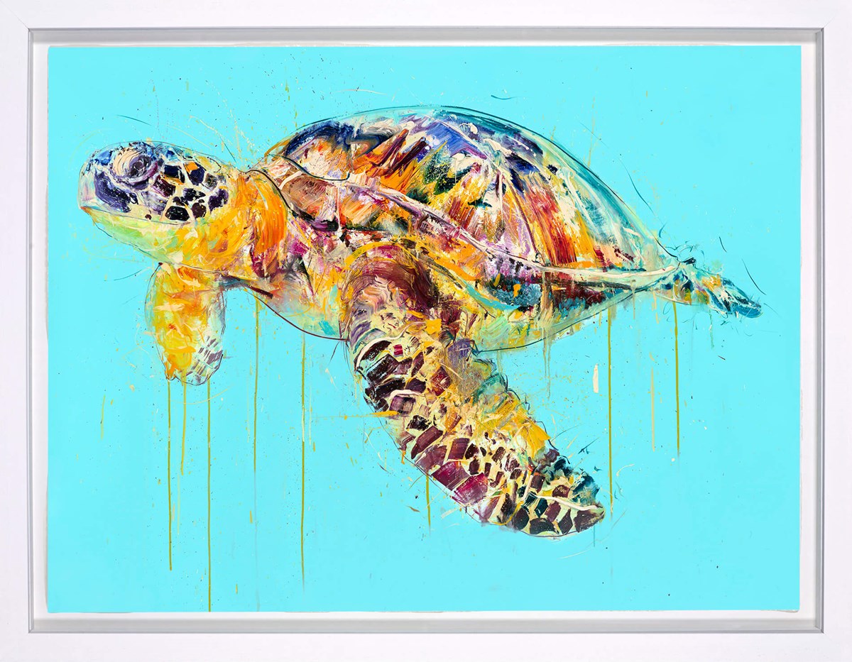 Sea Turtle