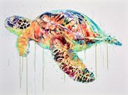Sea Turtle by Dave White