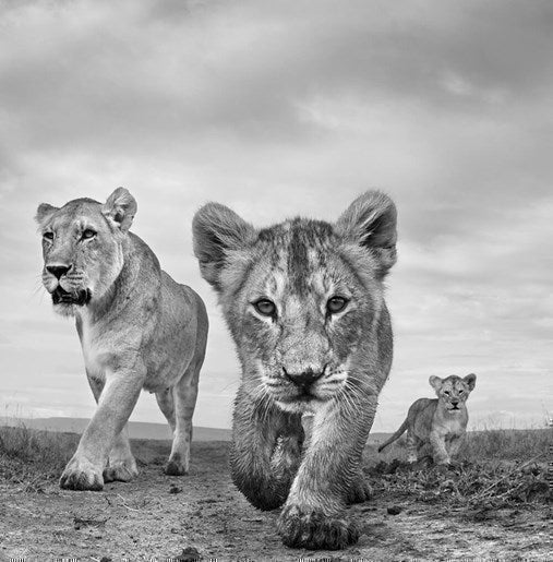 Anup Shah