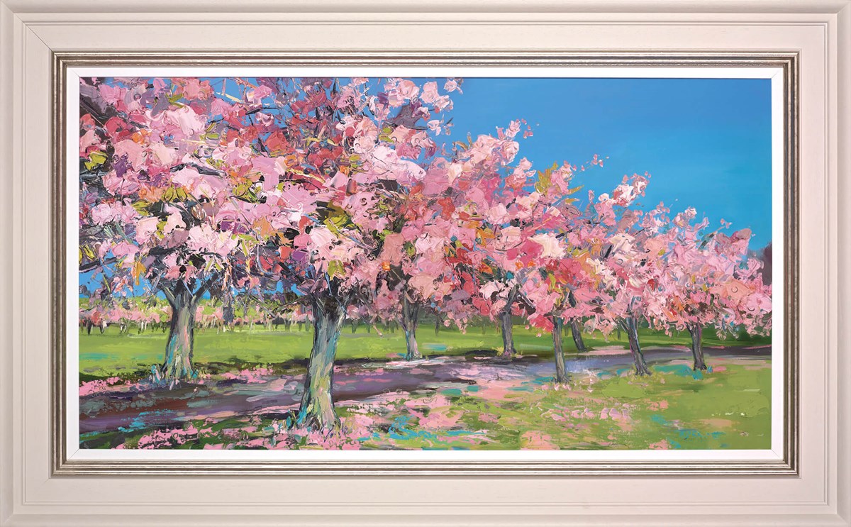 Sun on Cherry Trees