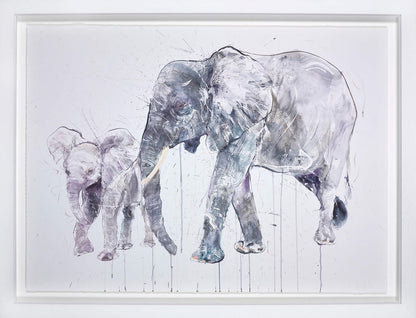 Elephant and Calf