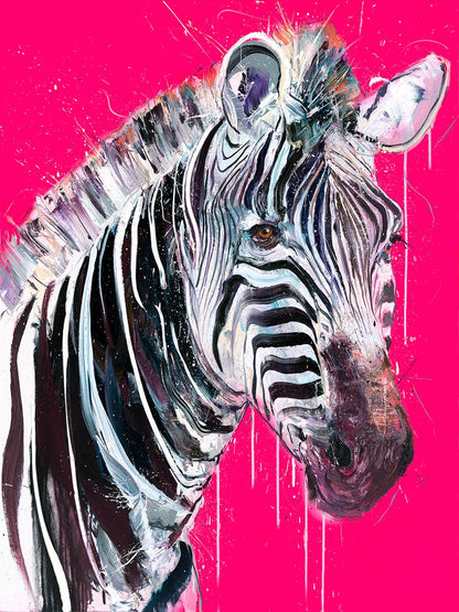 Grevy's Zebra I